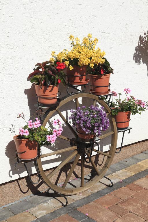 Haus Seebach バーワング エクステリア 写真