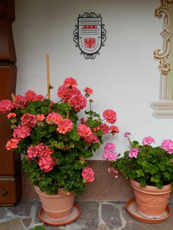 Haus Seebach バーワング エクステリア 写真